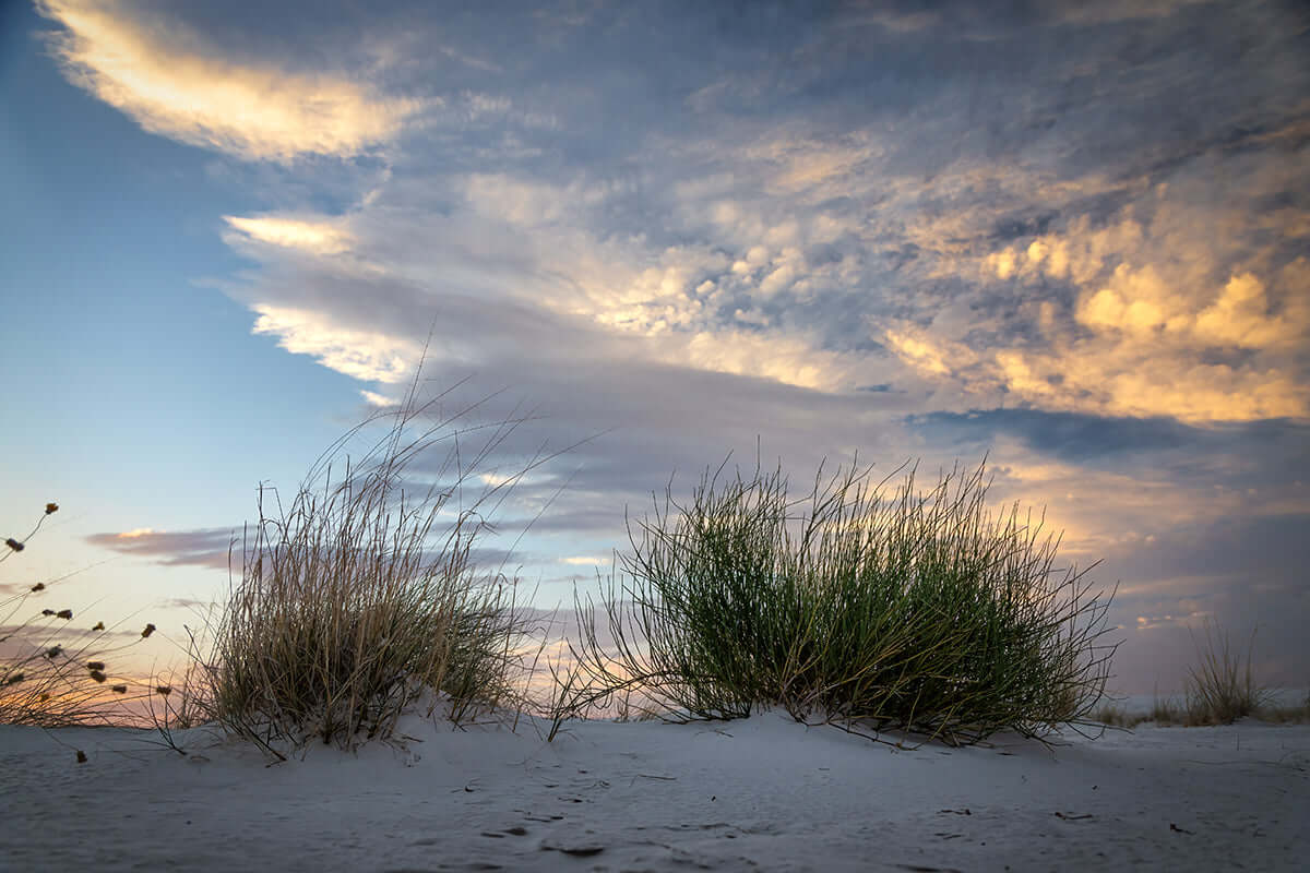 Beach image at sunset